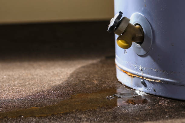 Best Water damage restoration near me  in Coulee Dam, WA