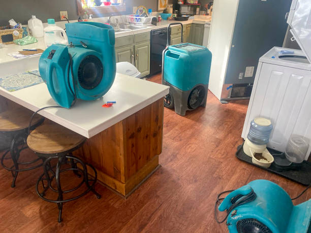 Best Water damage restoration services  in Coulee Dam, WA