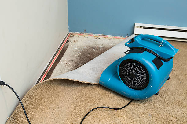 Best Water damage cleanup near me  in Coulee Dam, WA